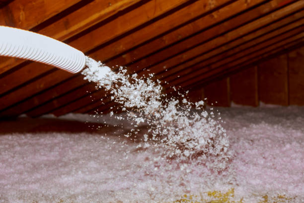 Best Types of Insulation in Inverness Highlands North, FL