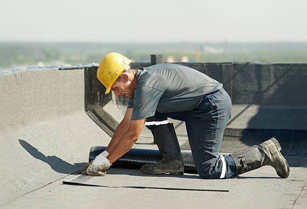 Best Insulation Maintenance and Repair in Inverness Highlands North, FL